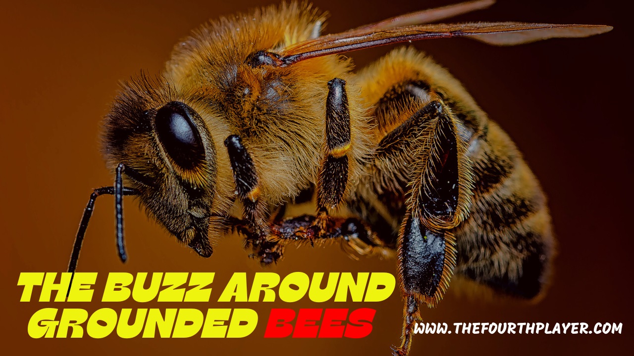 the-buzz-around-grounded-bees